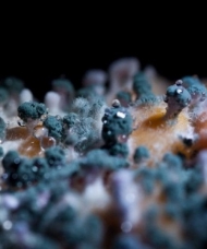 Cách loại bỏ nấm mốc đen trong nhà tắm và nhà bếp nhanh chóng