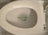 Bàn chải đánh răng rơi vào bồn cầu phải làm sao?