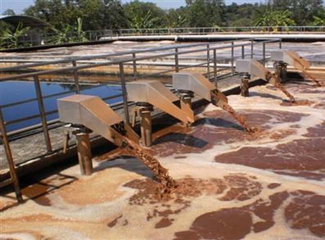 Giá bùn vi sinh cho hệ thống xử lý nước thải