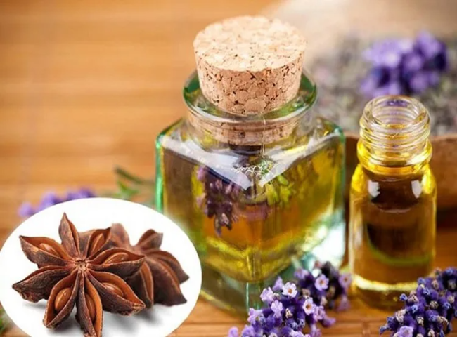 Cách khử mùi hôi trong phòng trọ bằng tinh dầu