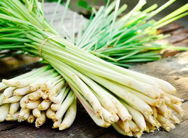 Cách khử mùi điều hòa xe ô tô bằng chanh sả