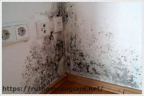 cách khử mùi toilet bằng trái thơm đơn giản