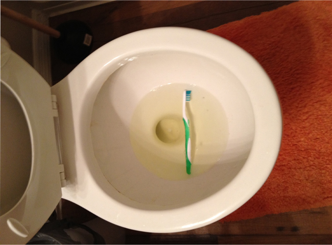 Tác hại khi bàn chải đánh răng rơi vào bồn cầu