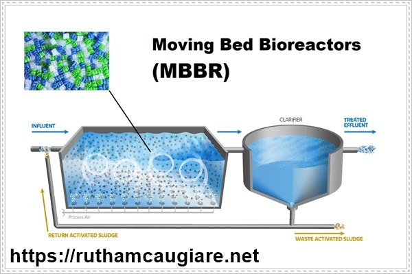 Làm sạch nền nhà vệ sinh và giải pháp dịch vụ chuyên nghiệp