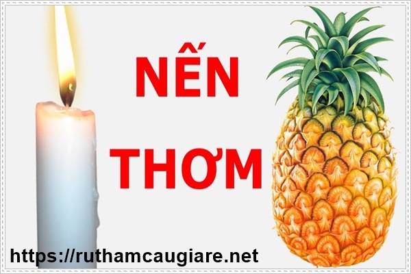 Xử lý mùi hôi ẩm mốc trong phòng bằng than củi và trái dứa