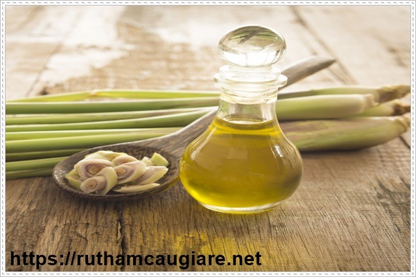 Xử lý mùi hôi ẩm mốc trong phòng bằng tinh dầu và xịt ngăn ẩm mốc