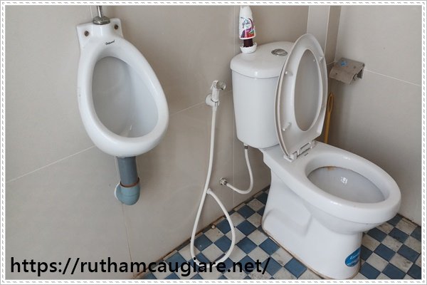 hiệu quả cách thông bồn cầu nghẹt bằng Lươn và Cá lóc