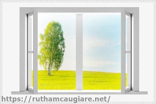 Giữ phòng luôn thông thoáng để khử mùi hôi trong phòng kín